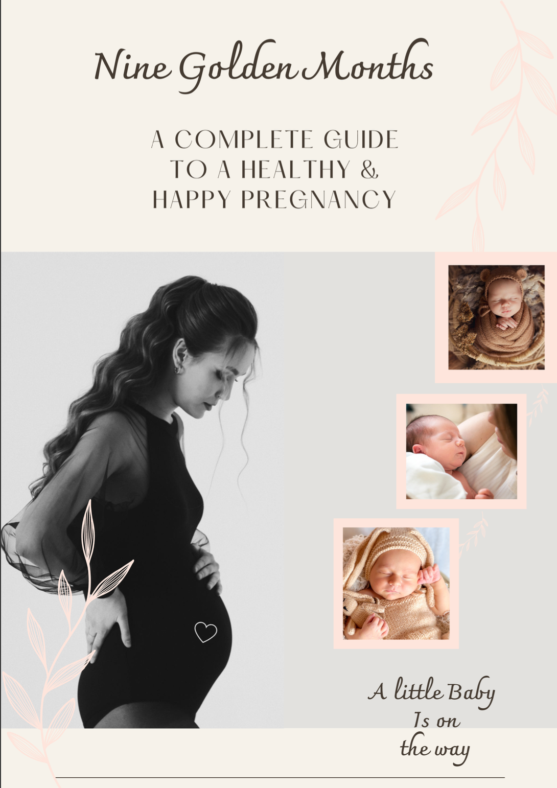 Nine Golden Months: A Complete Guide to a Healthy & Happy Pregnancy